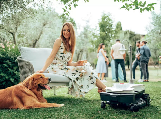 Igel und Mähroboter: So schützt du die Tiere