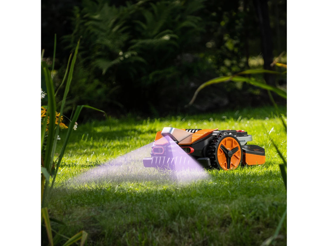 Mähroboter kaufen: Diese Punkte sind wirklich wichtig